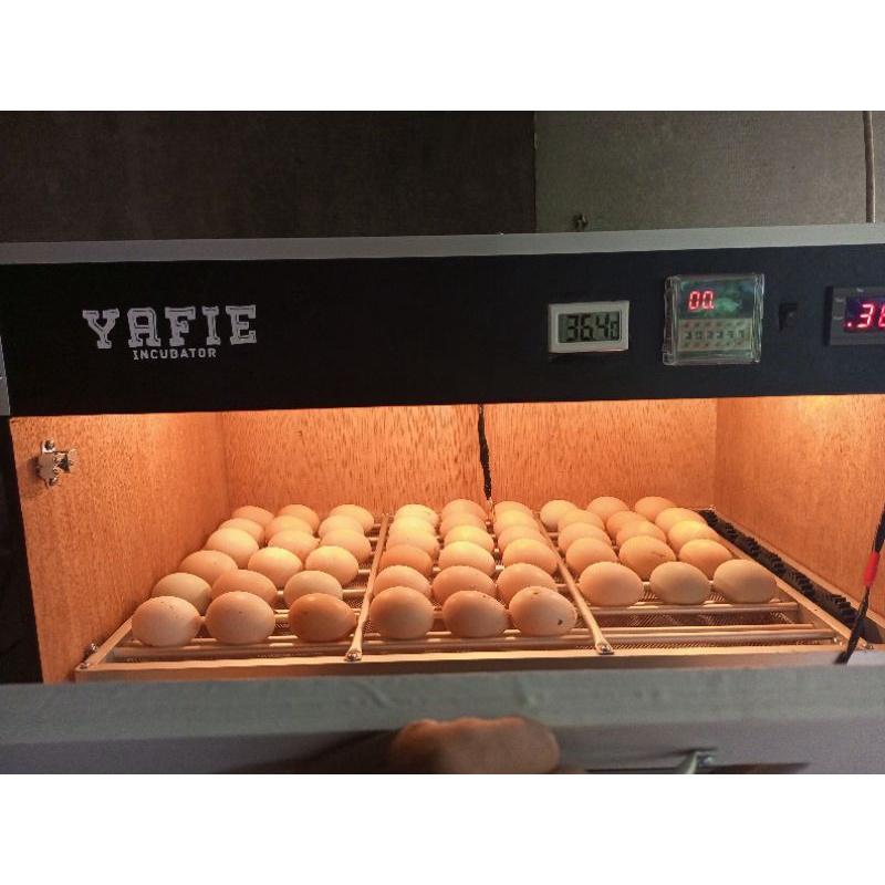 Mesin Tetas Otomatis Kapasitas 50 Butir Telur Ayam Kampung Bebek Mentok