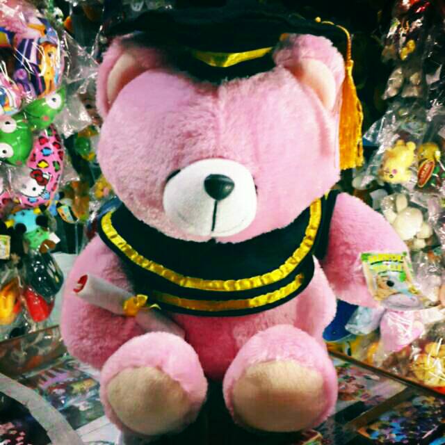 Boneka Bear Forever Friends Wisuda L