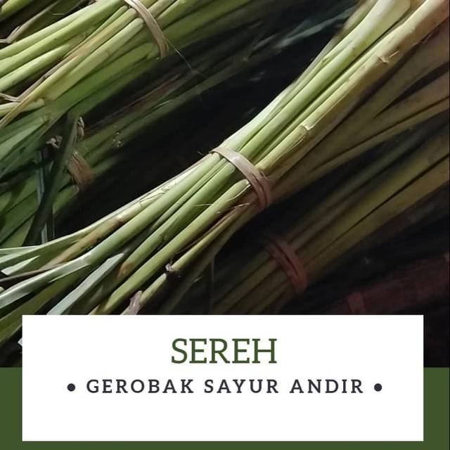 

Sereh /250gr
