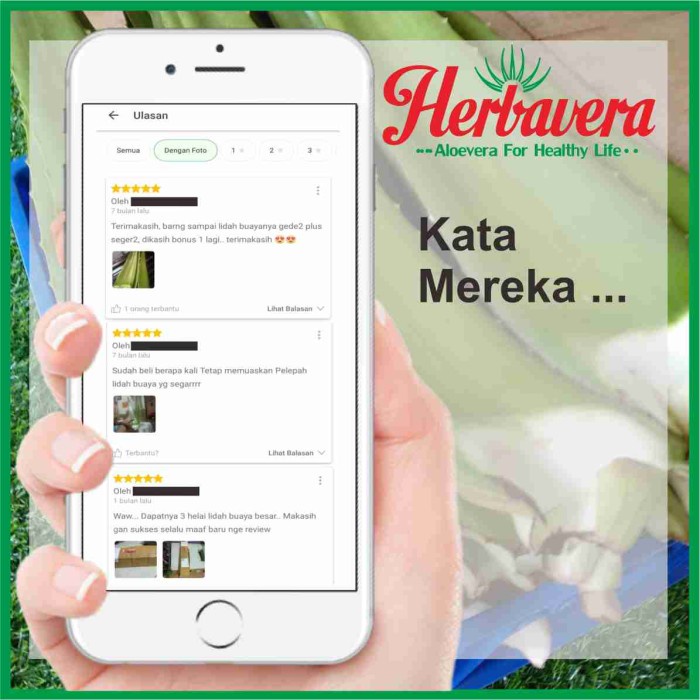 

d201nhd Pelepah/Batang Lidah Buaya (Aloevera) Ds201Fs