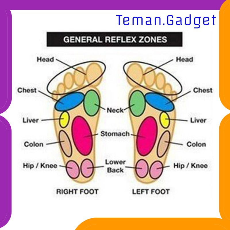 TG-FC025 Sol Sepatu Terapi Kesehatan Magnetik Bionic - BN2014