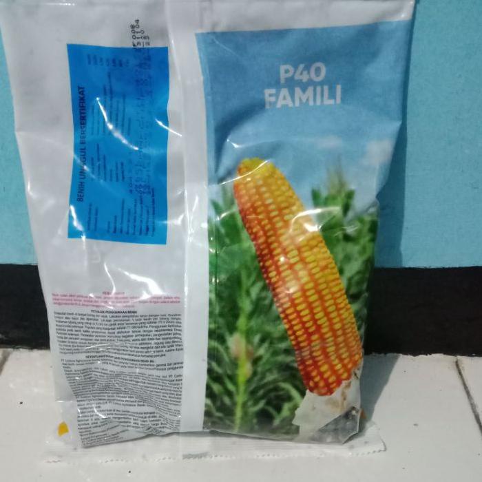 Big Sale BIBIT BENIH JAGUNG HIBRIDA P40 FAMILY 1KG Pioneer P40 Famili Corteva