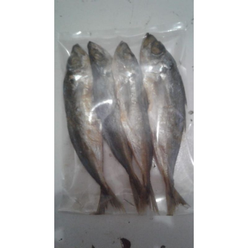 

Ikan Asin Japuh Asli Khas Pelabuhan Ratu