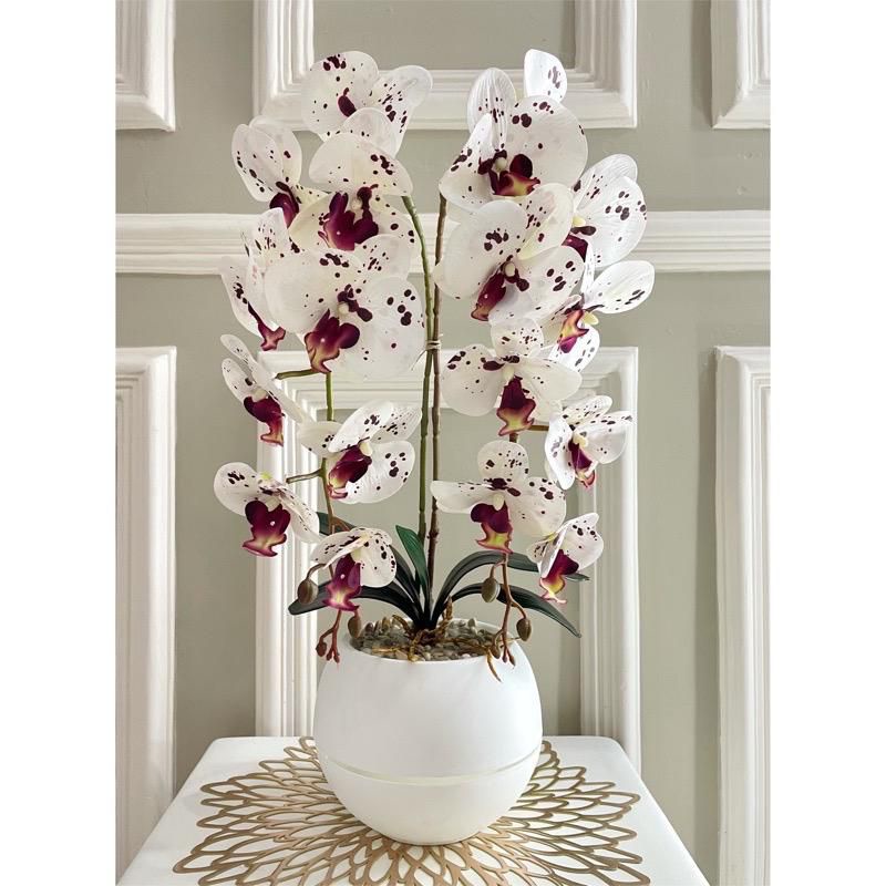 Anggrek latex 2 cabang dengan vas bola Anggrek Latex Jumbo Anggrek Latex