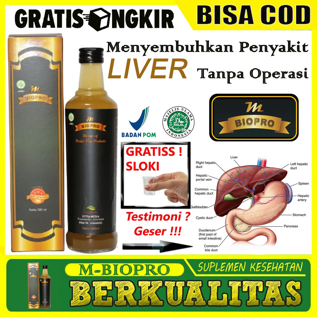 M BIOPRO Obat Liver Obat Penyakit Kuning Paling Ampuh Herbal Non Mosehat Non Cina