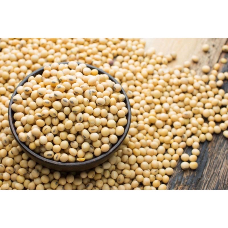 

Kedelai Import - Super Grade