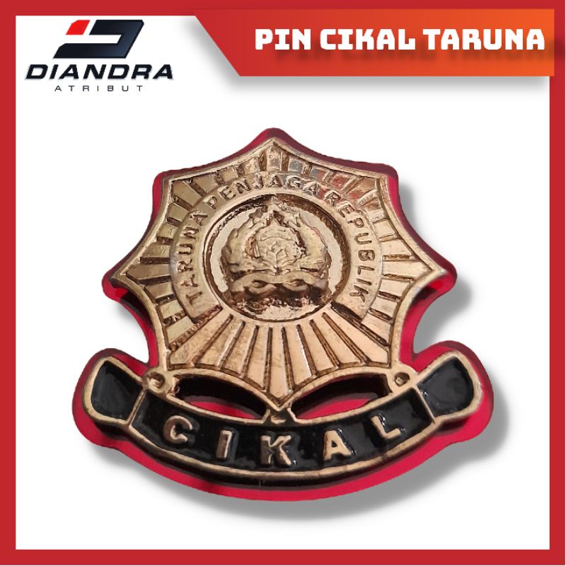 PIN CIKAL
