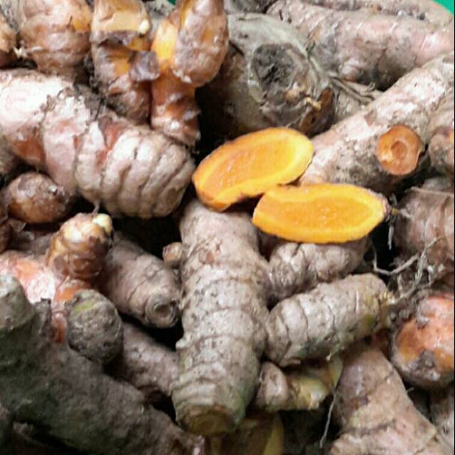 

Kunyit Organik 200g