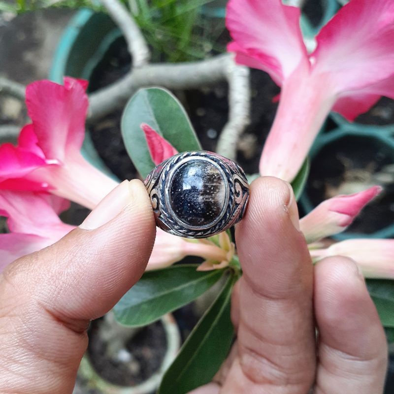 Batu Fosil Kayu Kelor Kristal Mini