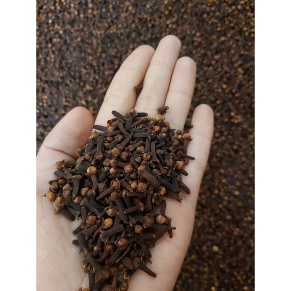 

CENGKEH/CENGKIH 1kg BUMBU DAPUR REMPAH-REMPAH TERBAIK SE-INDONESIA