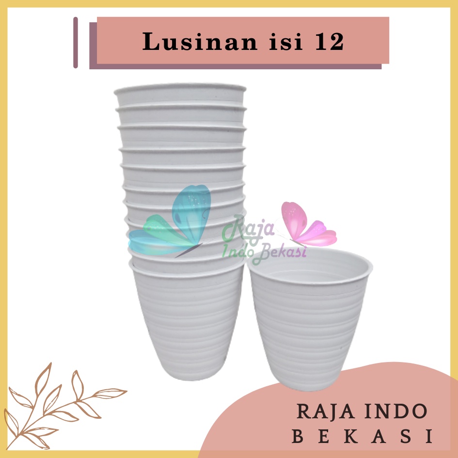 LUSINAN Pot Tawon Pirus 12 Putih Pot Tawon Tirus 12 Cm Grosir Pot Tinggi Putih Tanaman Lidah Mertua