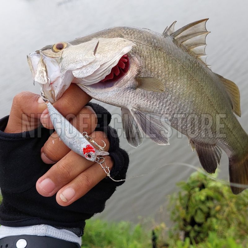 Minnow sinking 5gr/5cm TSURINOYA REPLIKA. Umpan tiruan bentuk ikan. Umpan casting