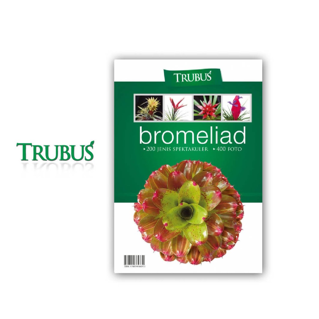 TRUBUS: BROMELIAD