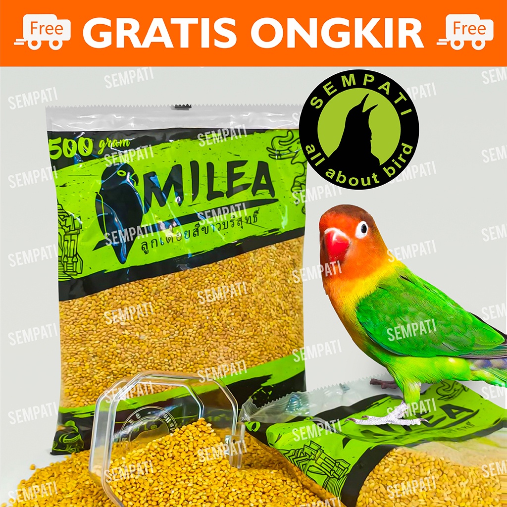 WHITE MILET PUTIH MILEA SEMPATI PAKAN BURUNG LOVEBIRD LOVE BIRD KENARI HARIAN MILLET 500 GRAM MLEAS