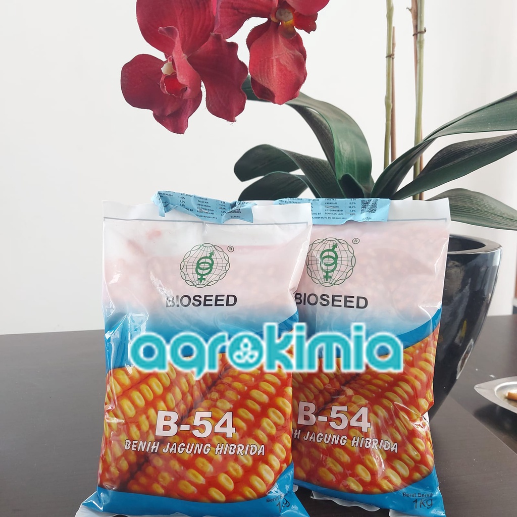 Benih Bibit Jagung Hibrida Bioseed B-54 Kemasan 1Kg