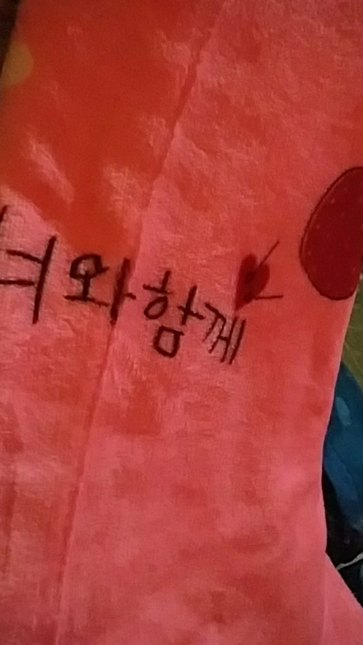 Selimut Dewasa Super Lembut Tebal Ukuran 180x200 List Motif Baru