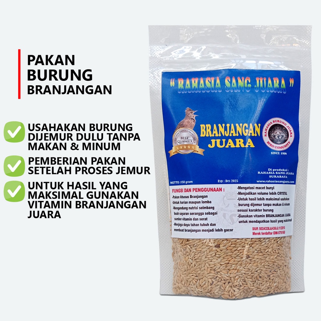 PAKAN BURUNG BRANJANGAN GACOR MENGATASI BURUNG MACET BUNYI