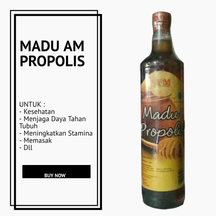 

MADU AM ASLI MADU KESEHATAN MADU PROPOLIS 625ML MADU UNTUK MASAK