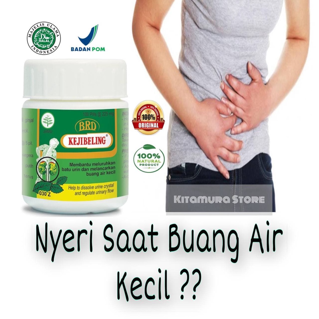 Kejibeling Obat Keji beling Herbal Untuk Batu Ginjal Nyeri Kencing Batu Saluran Kemih