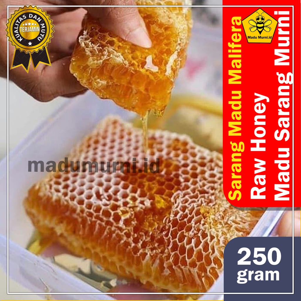 

Madu sarang lebah malifera sarang madu asli murni hutan 250gr