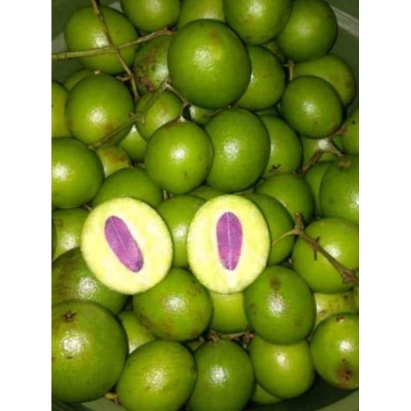 buah ramania