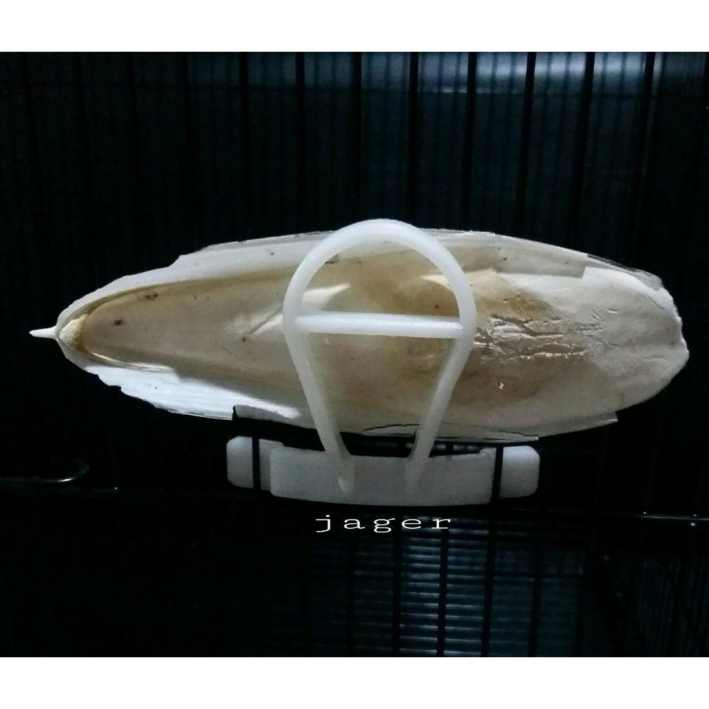 

[Ready Stok] Capitan Tulang Sotong Murah e disigrosir