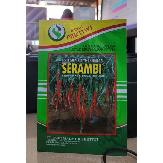 Benih cabe keriting SERAMBI 10 gr