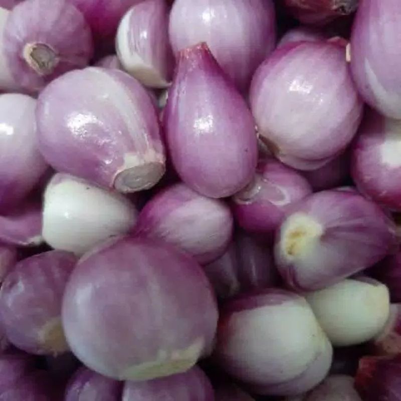 

bawang merah kupas fresh