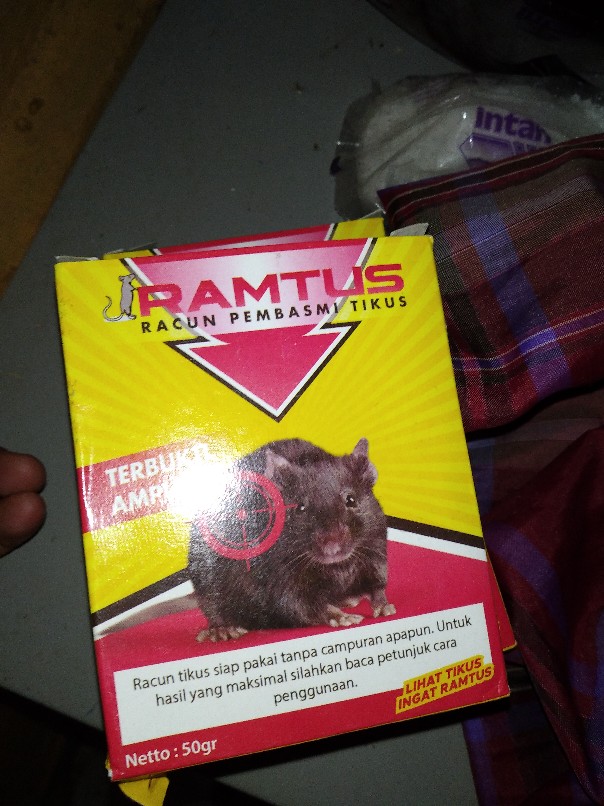 Ramtus Racun Tikus Ampuh Mati Kering Tidak Bau Pembasmi Curut Wirog Mencit Dirumah Di Mobil 12 Pack