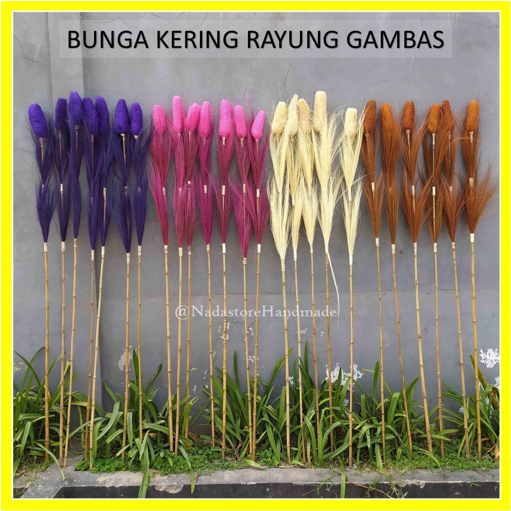 NEW ARRIVAL BUNGA KERING / DRIED FLOWER / RUSTIC RAYUNG GAMBAS HARGA GROSIRAN