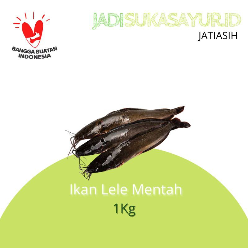 IKAN LELE MENTAH SEGAR 1KG - IKAN SEGAR BEKASI