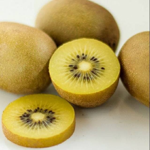 Bibit Benih Biji Buah Kiwi Golden - Biji Tanaman Pohon Buah Kiwi Golden - Bibit Buah Kiwi Golden-COD