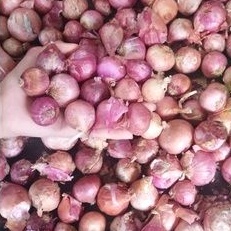 BAWANG MERAH PEKING BABY 1KG / BAWANG INDIA