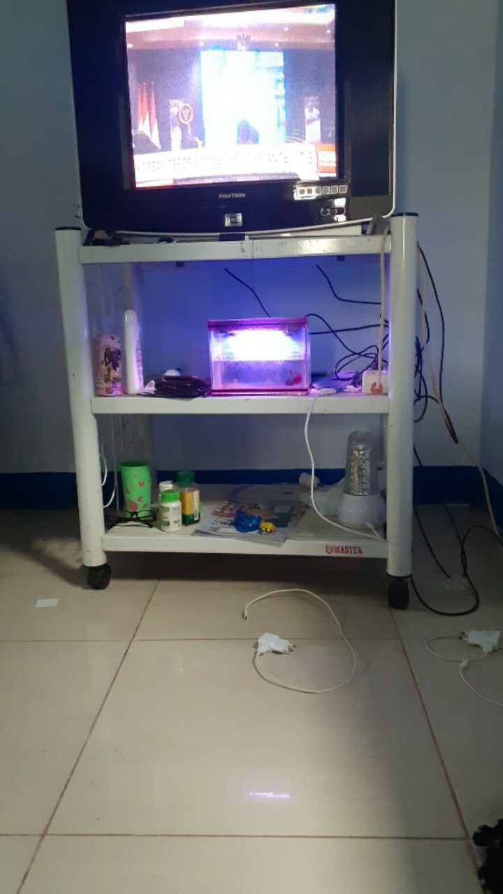 Bswart Batik M L Xl Xxl Xxxlhrb026 Kenongo Hem Pendek Padi Pekalongan M L Xl Batik Pria Murah Modern