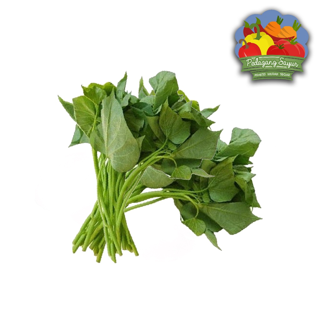 

Daun Ubi - 1 Ikat