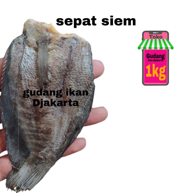 

ikan asin sepat siem super-1kg