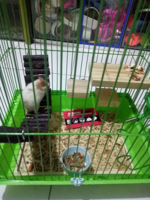 MAINAN HAMSTER - JEMBATAN HAMSTER - KAYU FLEKSIBEL