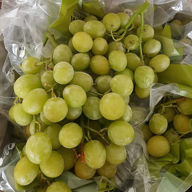 

GOLDENFRUIT_ANGGUR HIJAU SEEDLESS MANIS