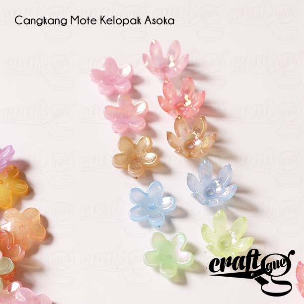 Cangkang Mote Kelopak Asoka