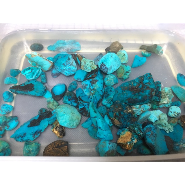 Rough bacan bluish