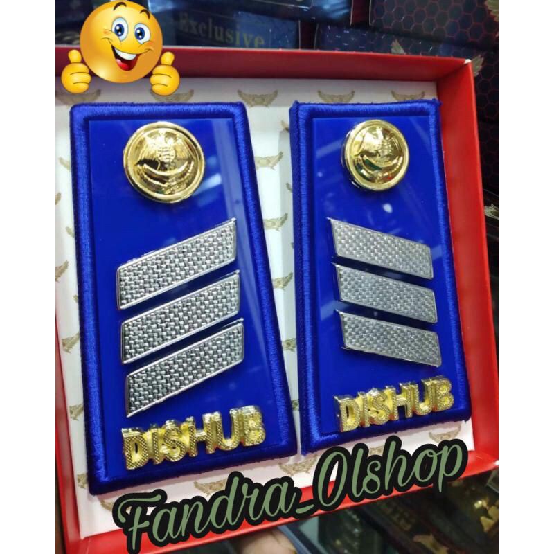 Pangkat Dishub Honorer S1
