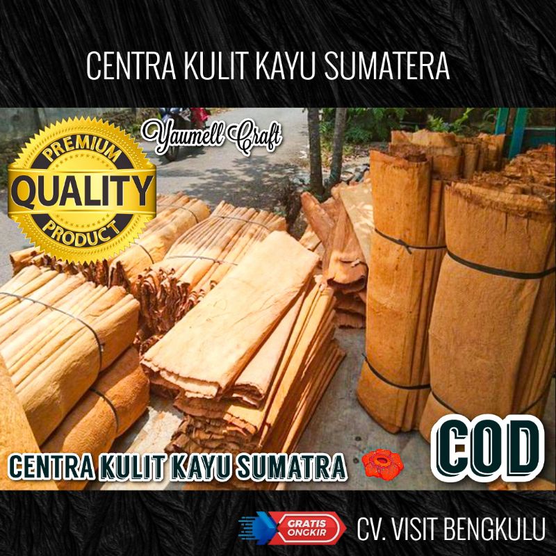 KULIT KAYU LANTUNG SUPER GRADE A TANGAN PERTAMA / KULIT KAYU LEMBARAN SUMATERA