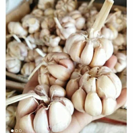 

BAWANG PUTIH 200GRAM