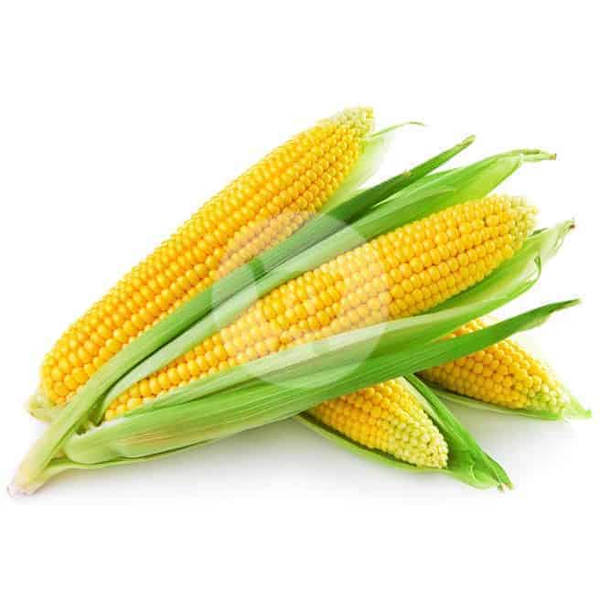 

Jagung Manis Ukuran Besar 1 Buah