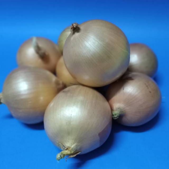 

Bawang Bombay berat 500 gr