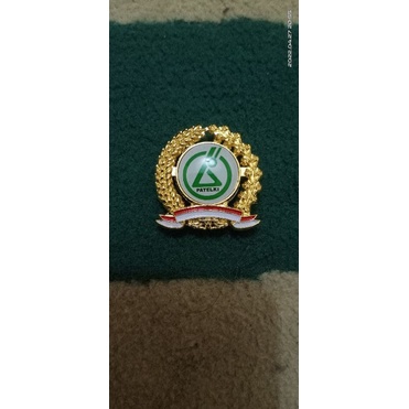 pin patelki padi kapas