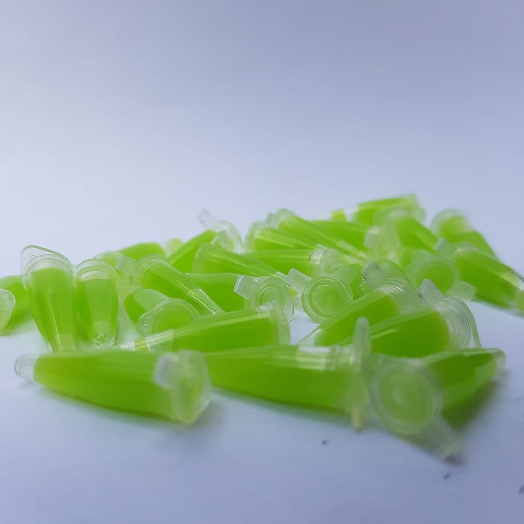 RK Essen ikan nila media lumut, essen ikan nila media pelet, essen ikan nila liar media cacing BISA