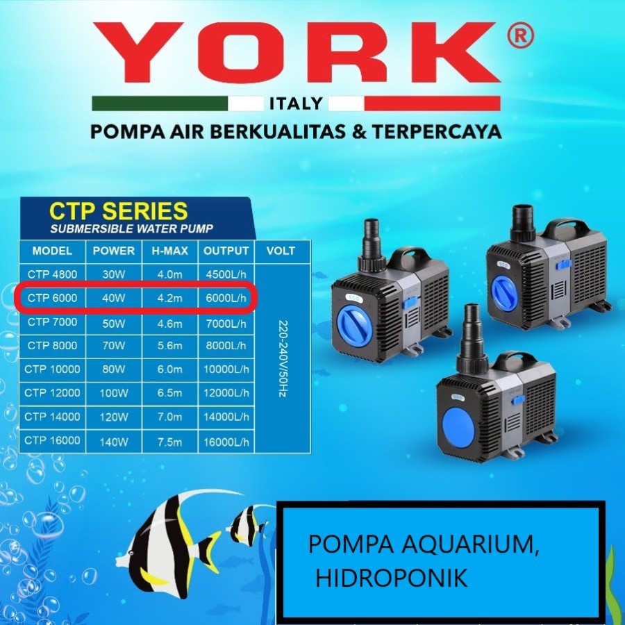 YORK CTP 6000 pompa celup rendam submersible aquarium hidroponik