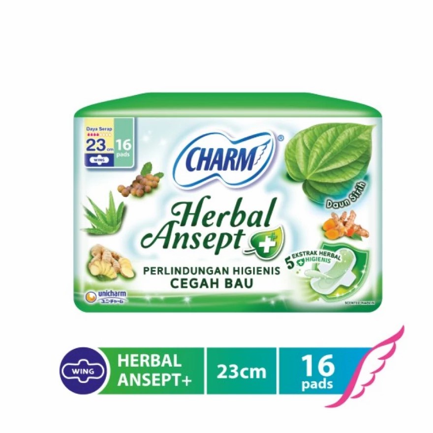 Charm Herbal Ansept+ Wing 23cm isi 16