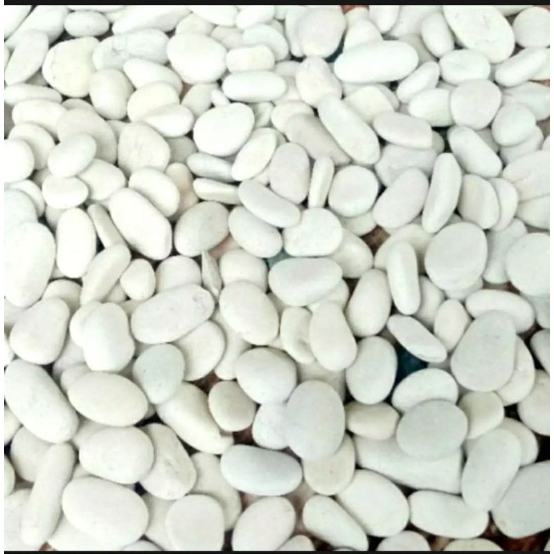 PROMO Batu putih 500gram / Batu hiasan aquarium / Batu hiasan pot tanaman